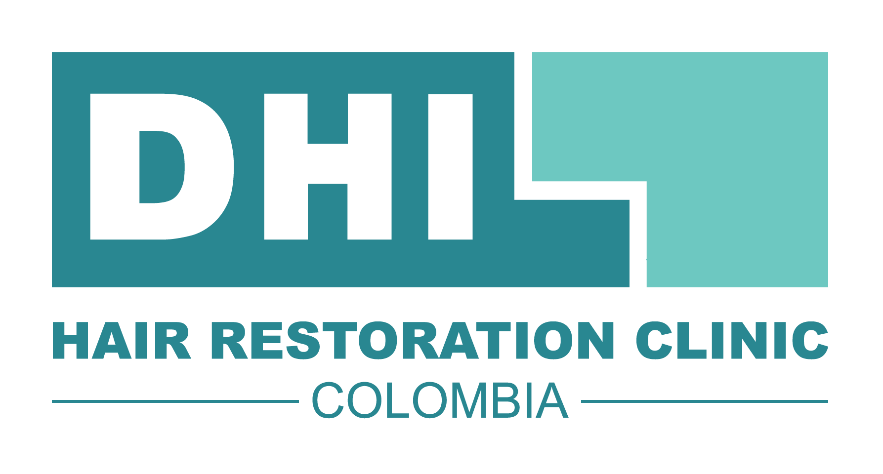 Logo DHI